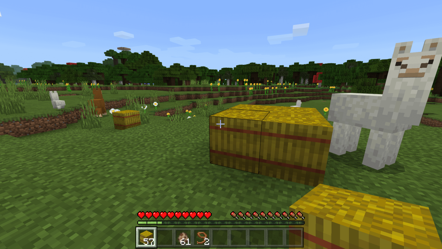 How To Breed Llamas In Minecraft Our Expert Tips EXputer