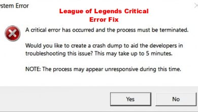 League of Legends Critical Error