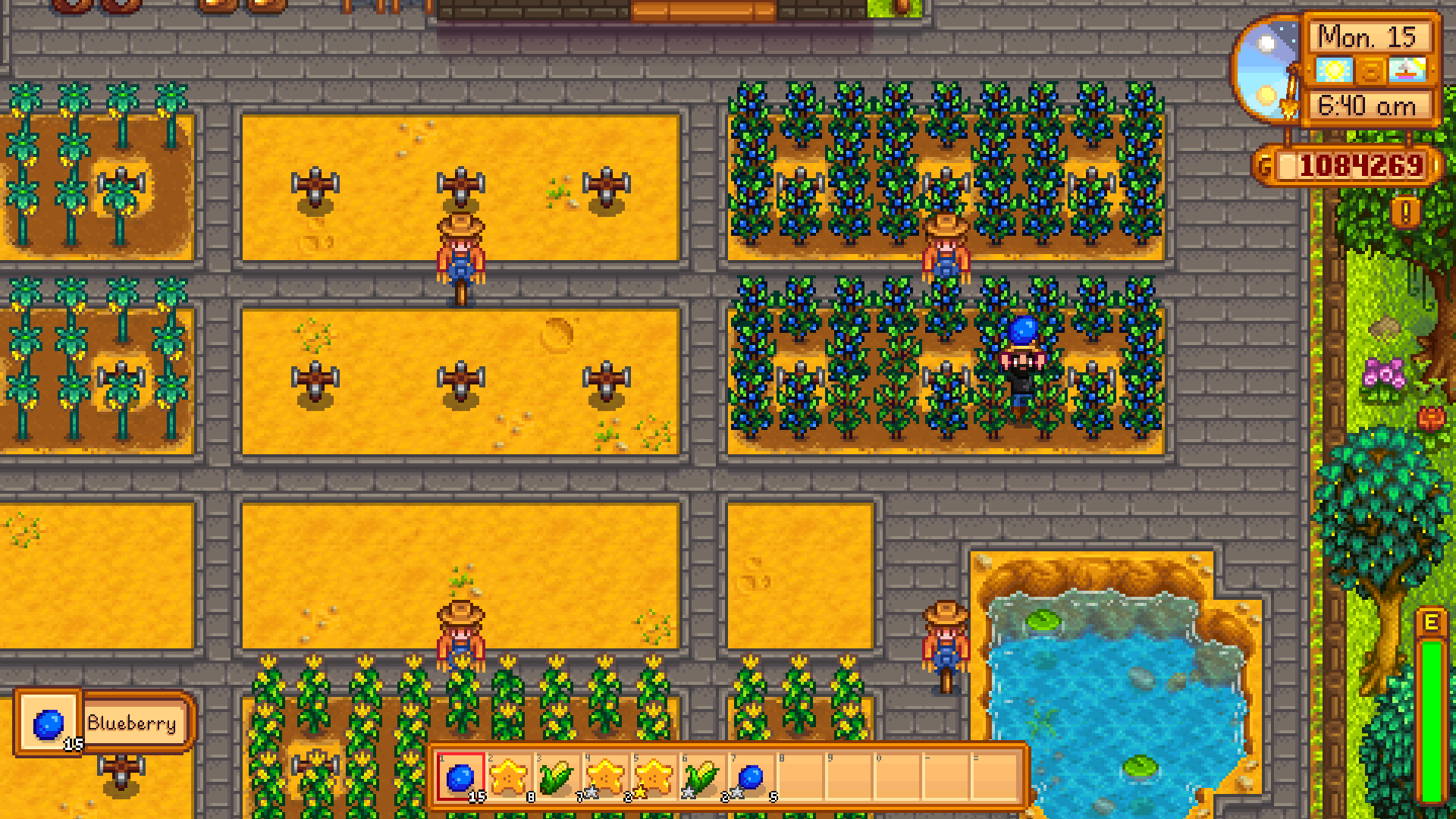 The Best Crops To Grow In Stardew Valley