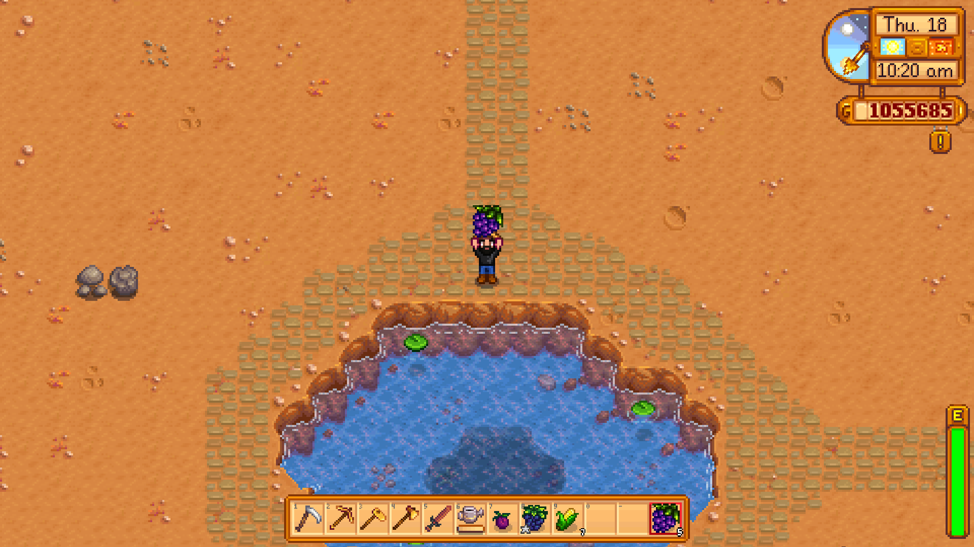 stardew valley best crops