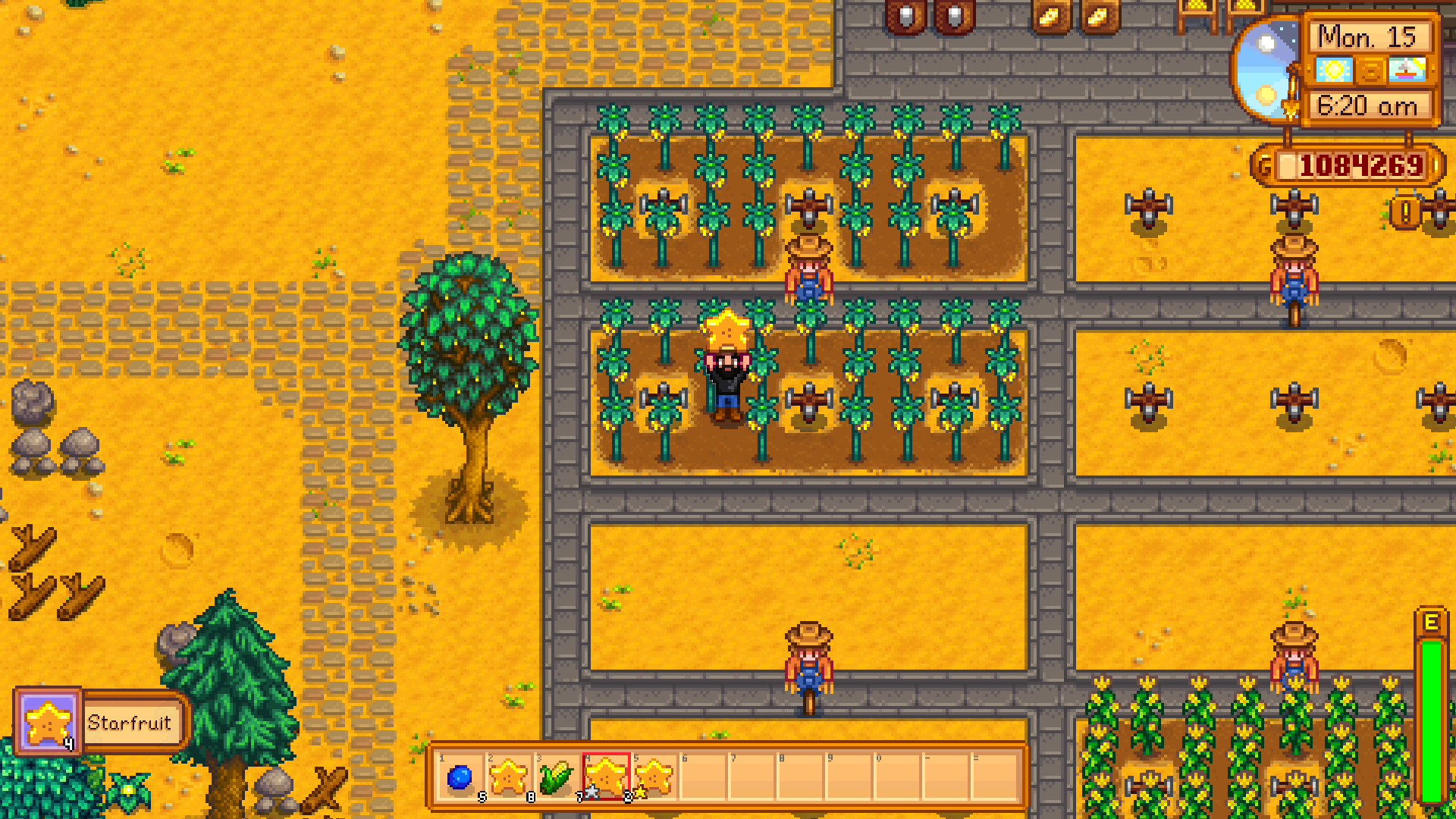 stardew valley best crops