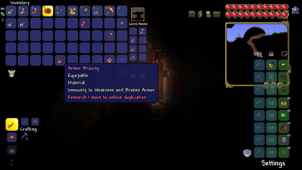 Terraria armor bracing