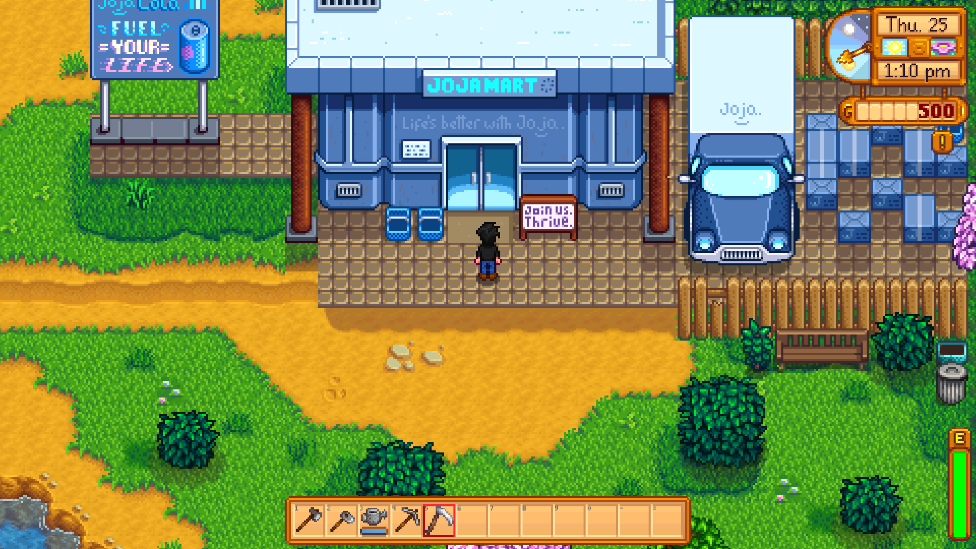 Stardew Valley greenhouse