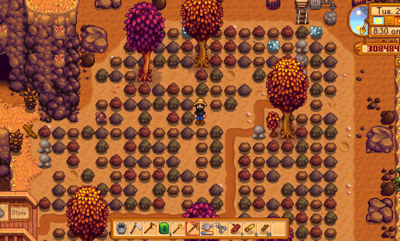 Stardew Valley Quarry