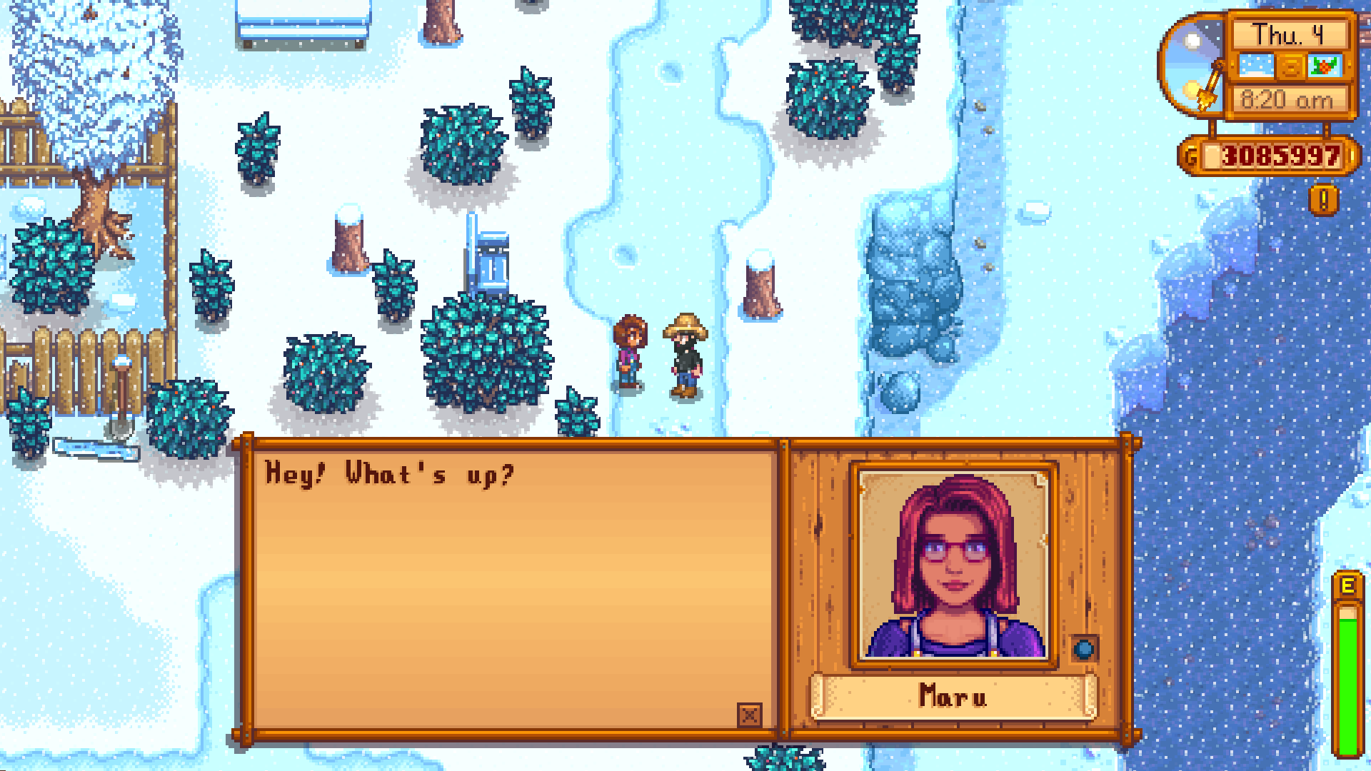 A Winter Mystery Stardew Valley