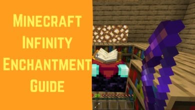 Minecraft Infinity Enchantment