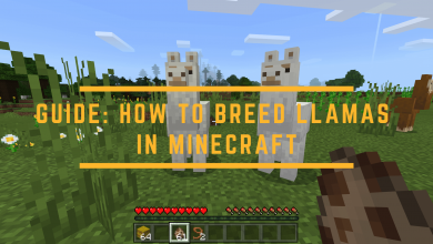 How To Breed Llamas In Minecraft