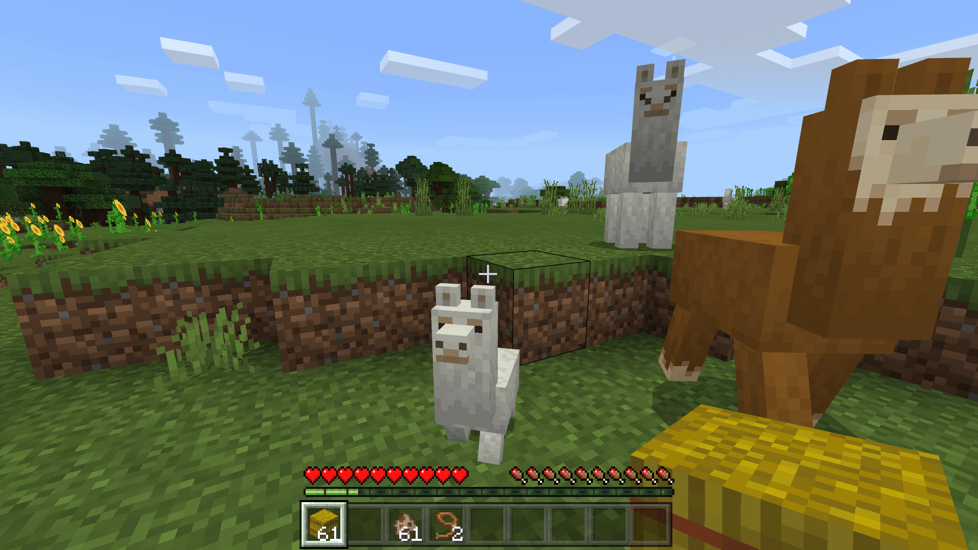 How To Breed Llamas In Minecraft