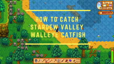Stardew Valley Catfish