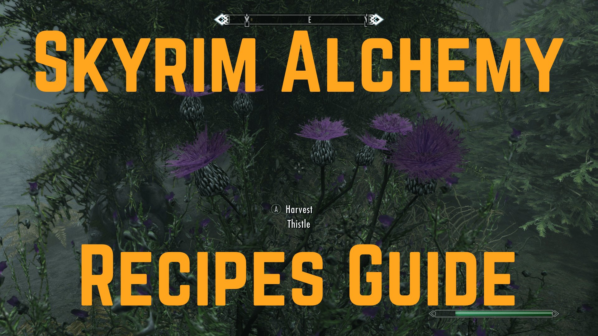 Skyrim Alchemy Recipes The Definitive Guide 2022 EXputer