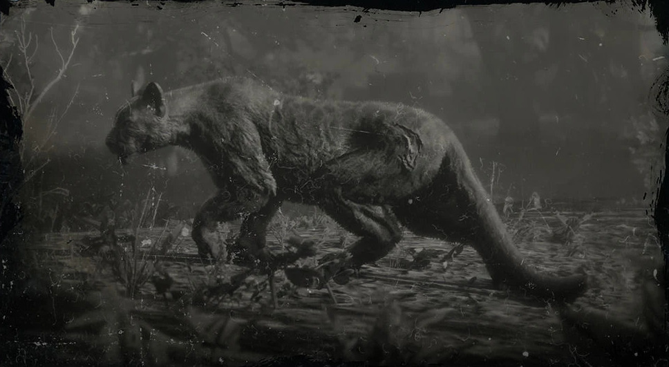 legendary panther rdr2