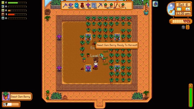 Stardew Valley best fall crop