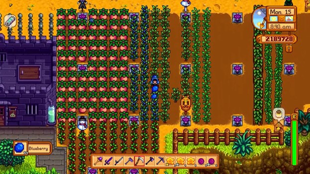 Stardew Valley best summer crop