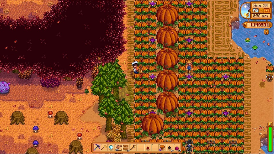 stardew valley pumpkin