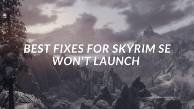 skyrim se won't launch