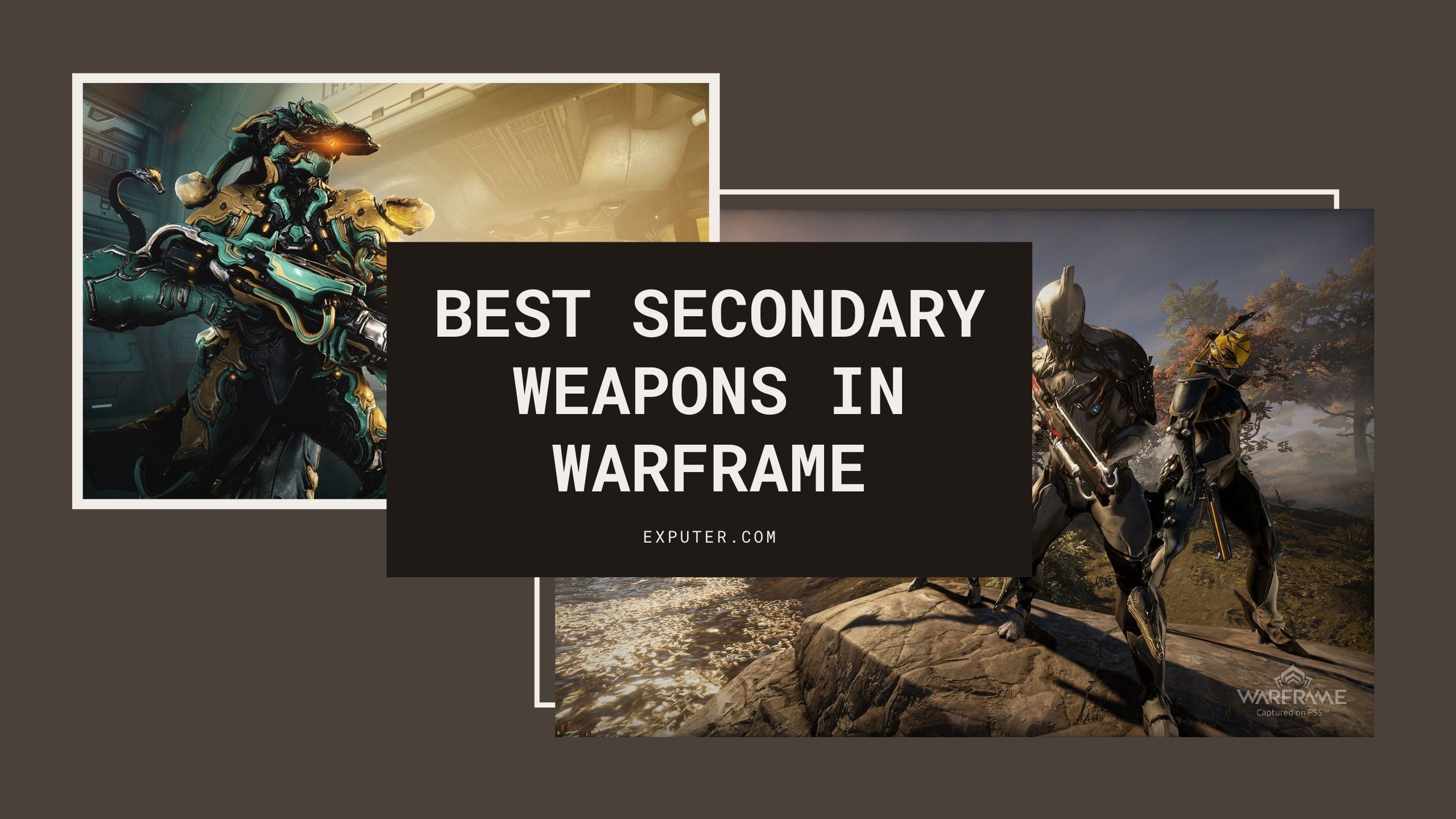 Best secondary weapon in warframe (119) фото