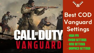 Best COD Vanguard Settings