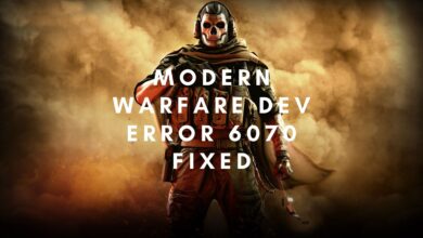 modern warfare dev error 6070