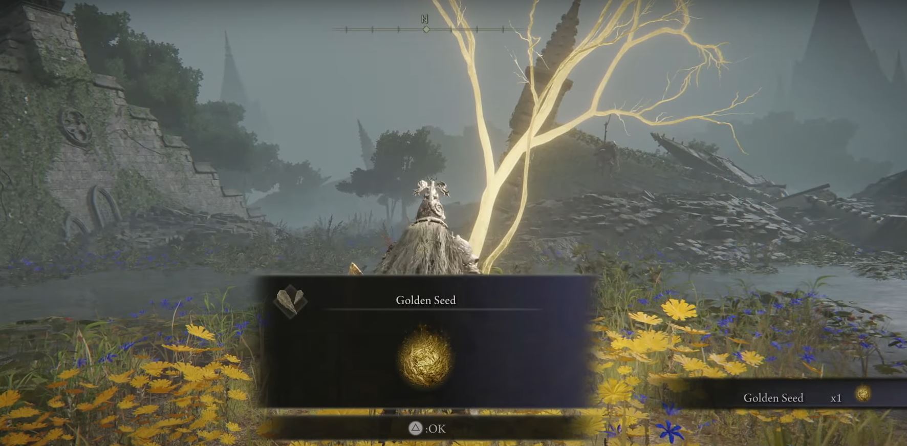 Golden Seed Location Elden Ring