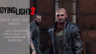 Jack And Joe Help Fight Dying Light 2