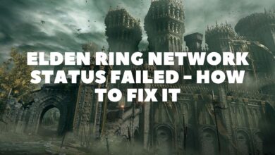 Elden Ring Network Status Failed