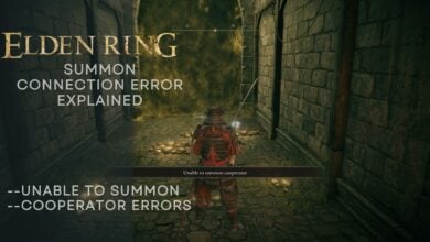 Elden Ring Connection Error When Summoned