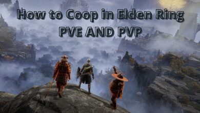 coop in elden ring