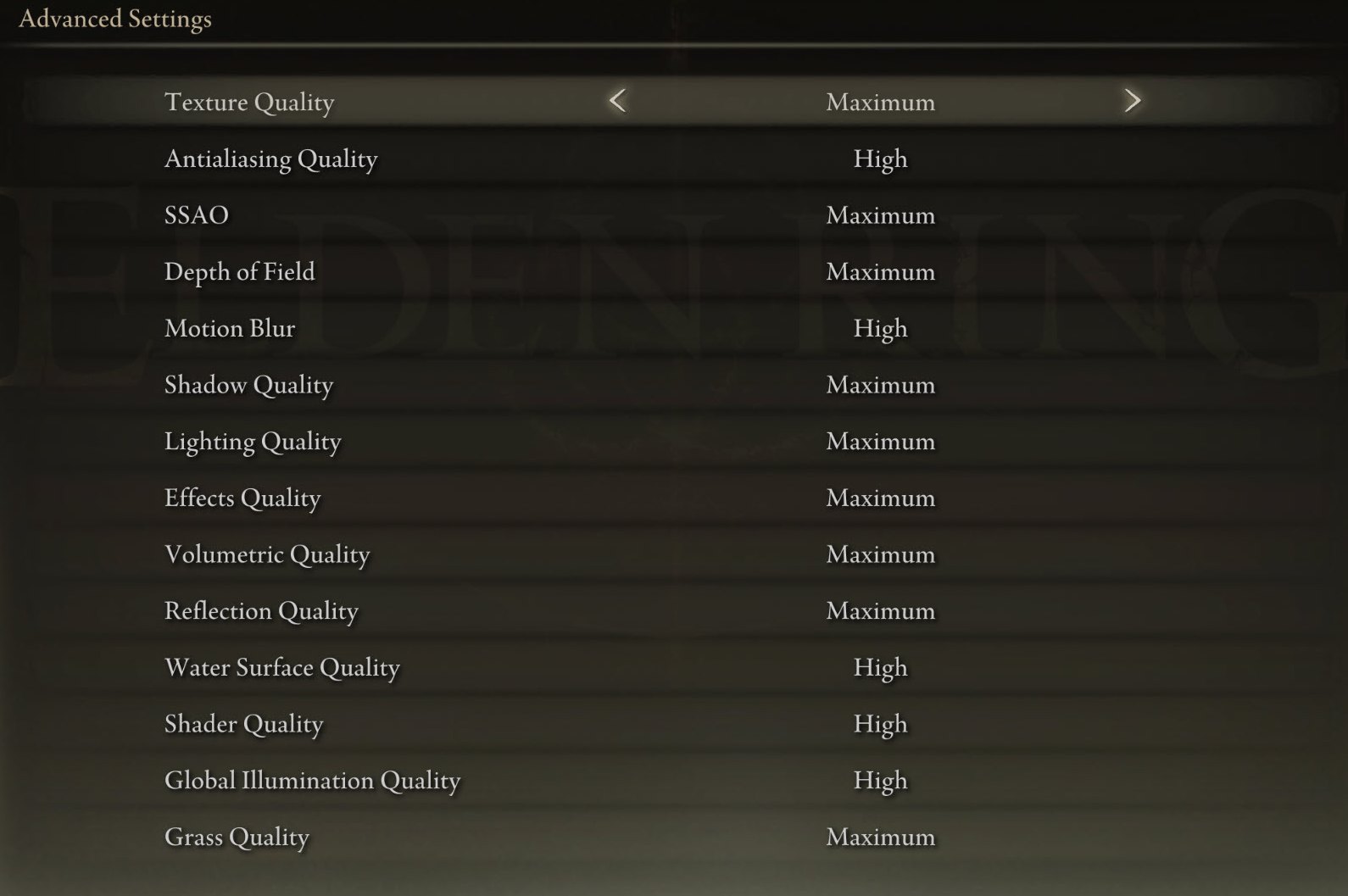 Best Elden Ring Settings for Advanced Graphics Options