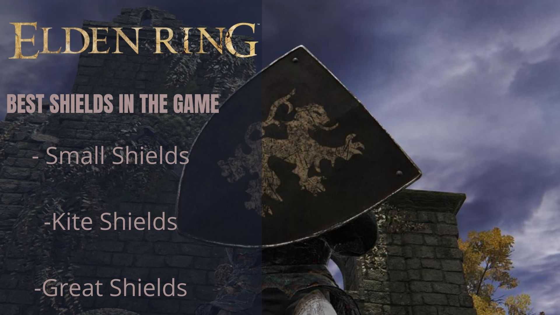 Elden Ring Best Shields [Top 21]