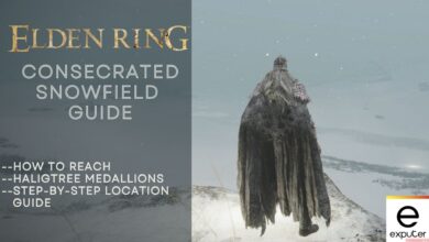 How to get to snowy area Elden Ring