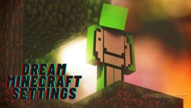 Minecraft Settings Dream