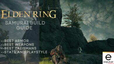 Elden Ring Samurai Build