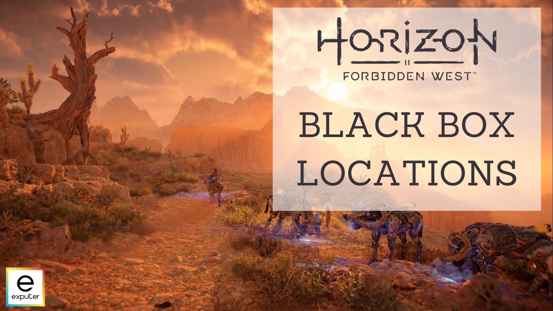 All Black Box locations - Horizon Forbidden West