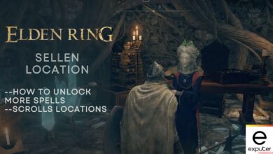 Elden ring sellen location