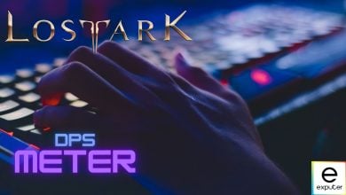 Lost Ark Damage meter