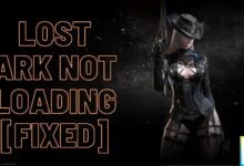 Lost Ark not loading