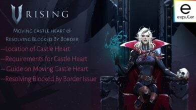 Blocked by Border in V rising