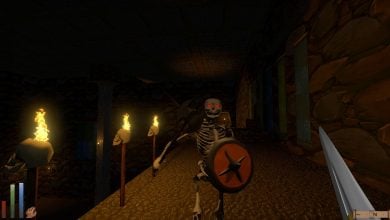 Daggerfall Unity GOG Cut