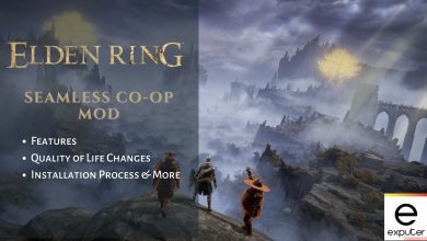 Installation Guide for Seamless Co-op mod