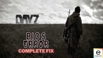 Dayz bios error