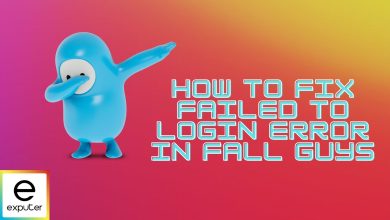 Fall Guys error failed to login