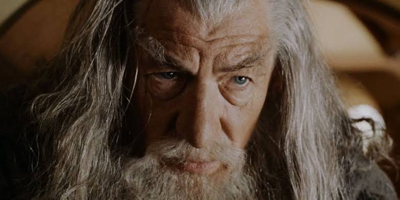 Gandalf in Multiversus