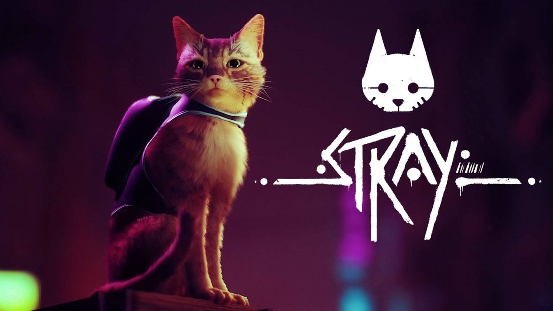 Top 10 Steam  Stray obtém sua terceira semana consecutiva de jogo mais  vendido da semana