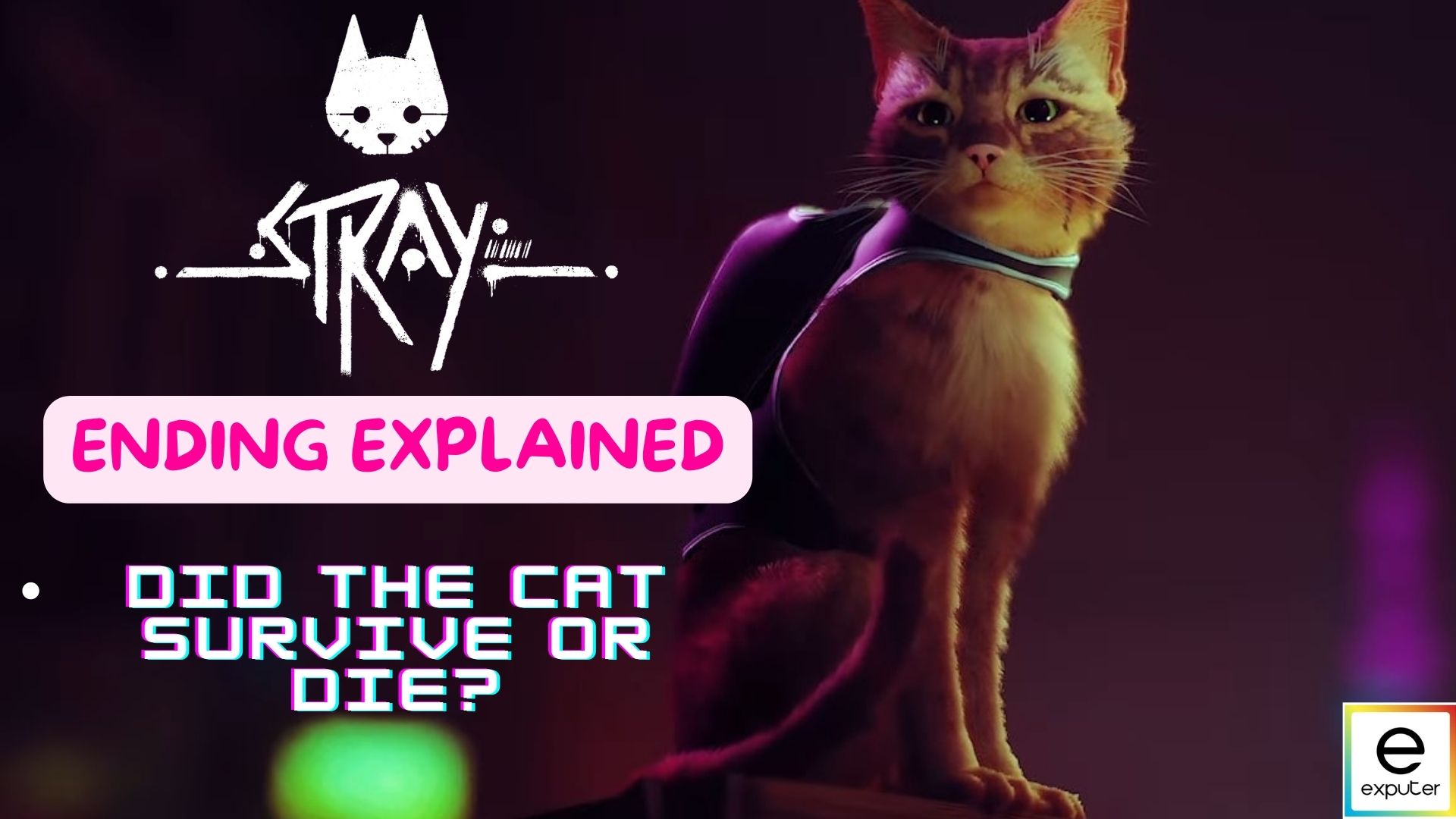 Stray ending explained, what happens to the cat, B-12, city & Zurks?