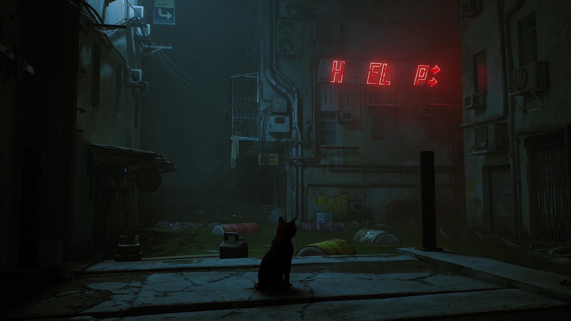 Future Games Need More Animal Protagonists Like Stray 