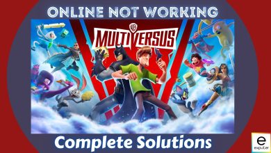 Online not working multiversus