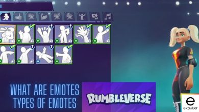 Emotes In Rumbleverse.