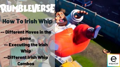 irish whip
