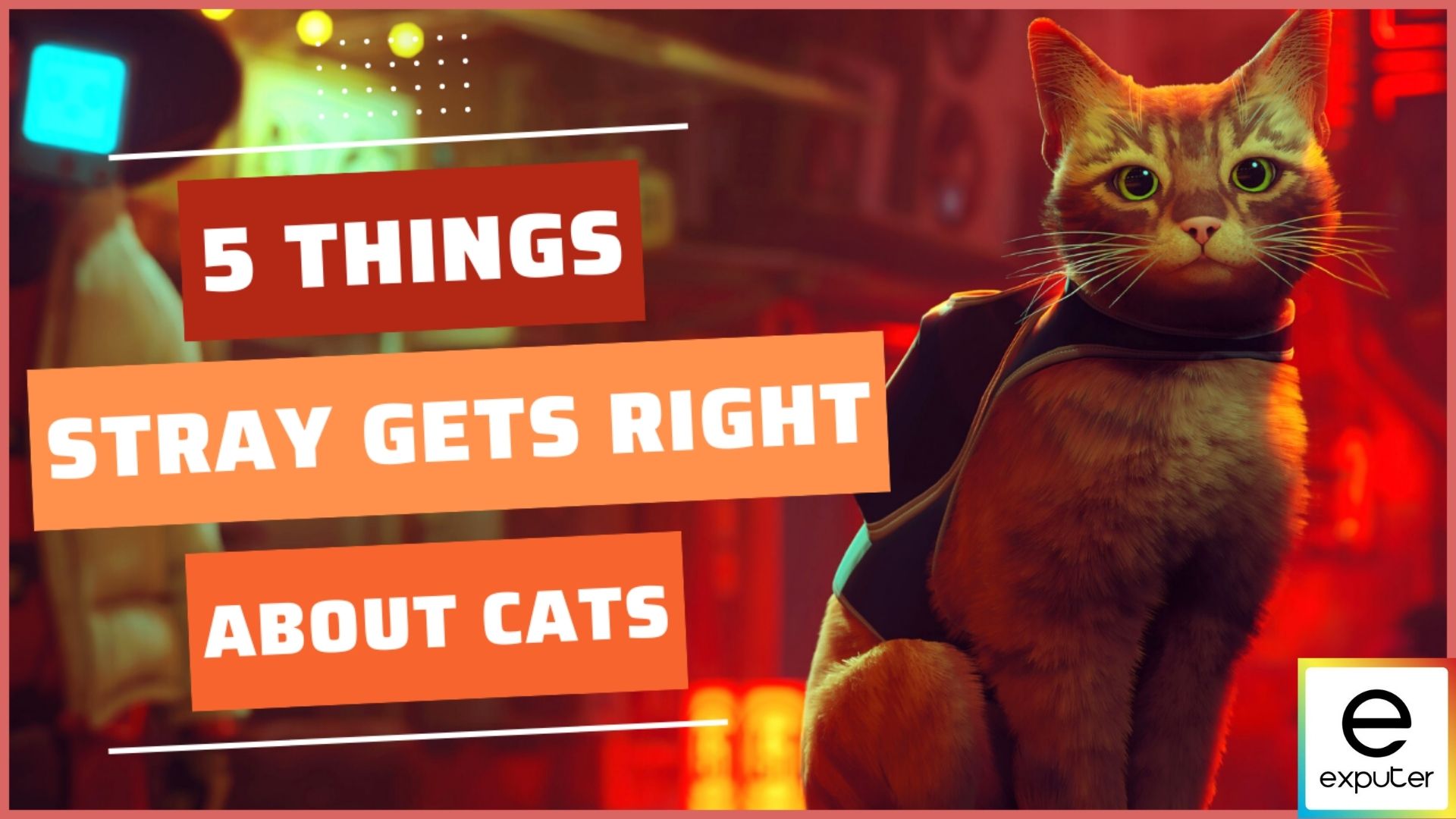 VIDEO: Top Things That 'Stray' Gets Right About Cats