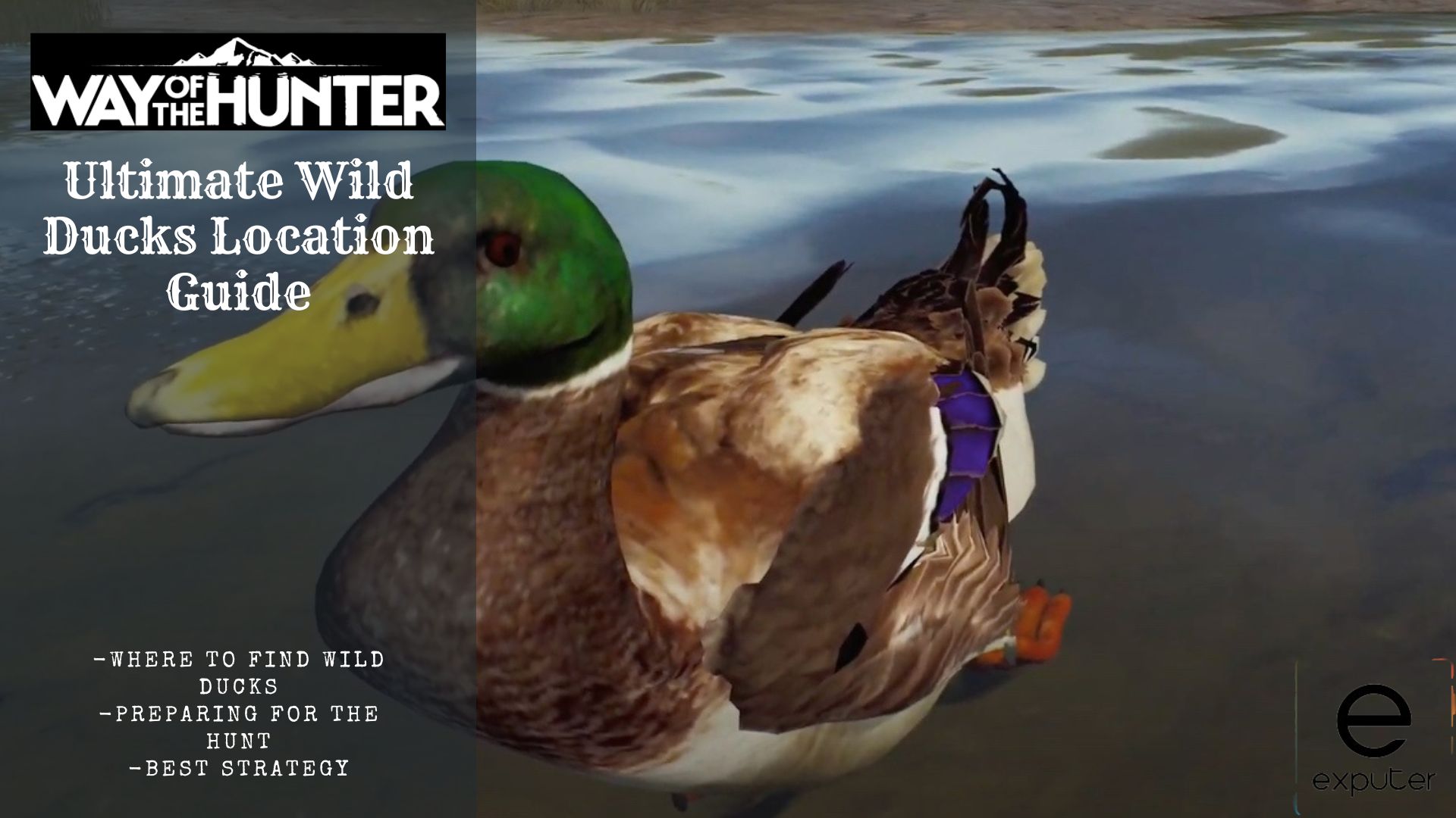 Way Of The Hunter: All Wild Duck Locations 